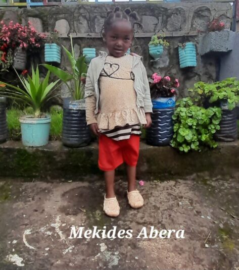 Mekides Abera - Image 2